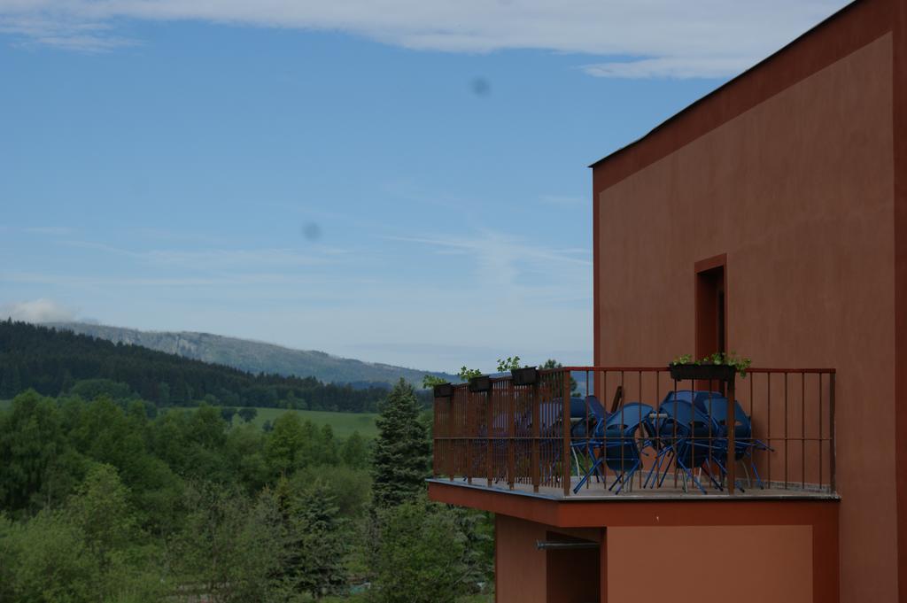 Apartma Lipno Horní Planá Zewnętrze zdjęcie