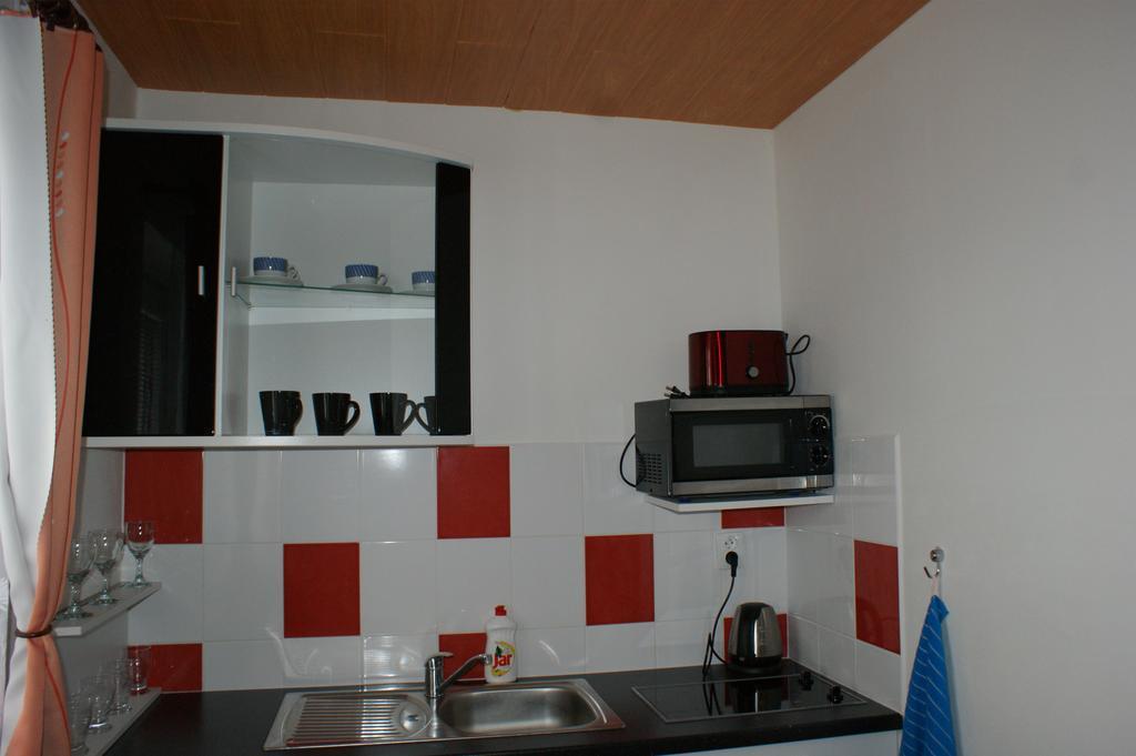 Apartma Lipno Horní Planá Zewnętrze zdjęcie