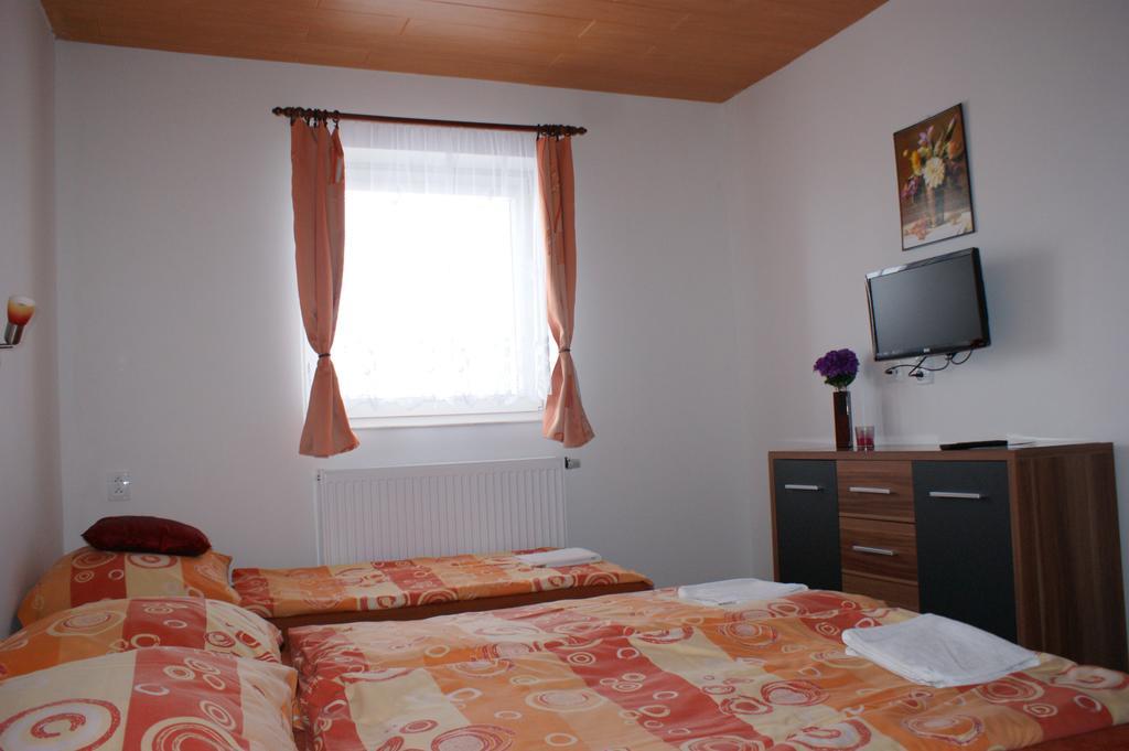 Apartma Lipno Horní Planá Zewnętrze zdjęcie